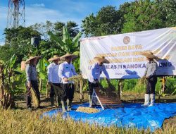 Panen Raya di SAE Lapas Rangkasbitung, Wujud Nyata Program Ketahanan Pangan Pemasyarakatan