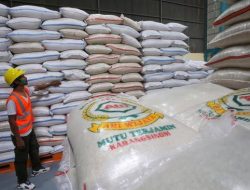 Mentan: Terima Kasih Petani Dan Seluruh Stakeholders Atas Capaian Spektakuler 4 Juta Ton Cadangan Beras