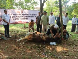 Polresta Tangerang Laksanakan Pemotongan Hewan Kurban, Wujud Ketakwaan dan Kepedulian Sosial