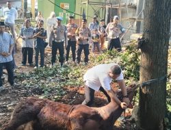Polres Purwakarta Berkurban, Wujud Cinta Dan Harmoni Di Idul Adha 2025