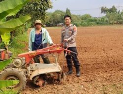 Wujudkan Ketapang Lokal, Personil Polsek Serang Polresta Serang Kota bersama Koptan Gemburkan Lahan Persiapan Penanaman