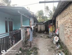 Sabung Ayam Diduga Milik Dullah Di Pegandikan Lebak Wangi Serang Seolah Tak Tersentuh Hukum